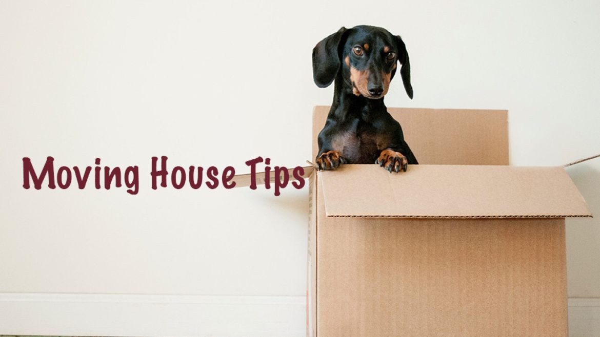 Moving House Tips by The Centric Moving Company